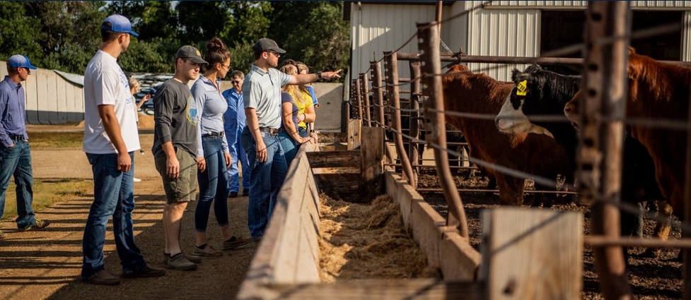 Class held at in front of cattle and feed.